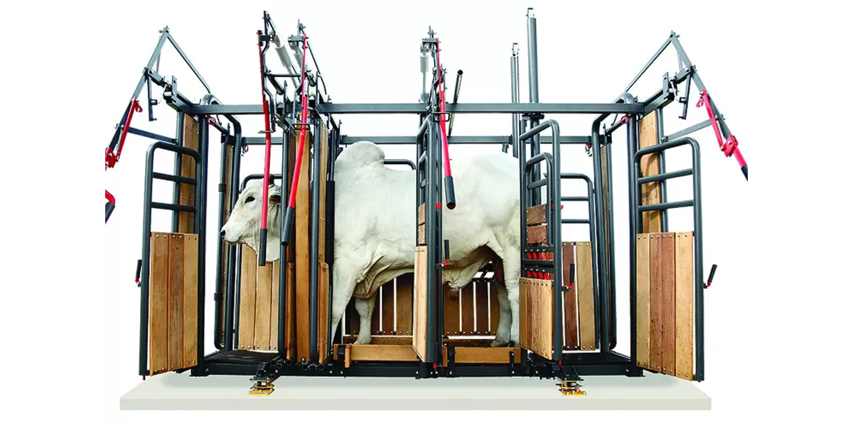 Tronco de Contenção Profissional – Segurança e Eficiência no Manejo